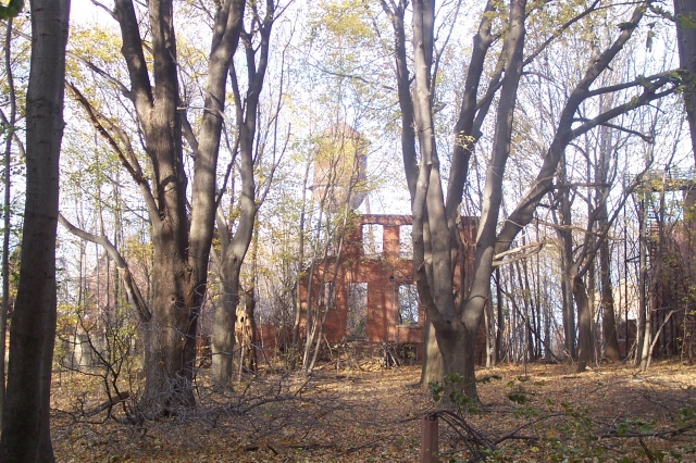 <p>Ruins of the Recruit Examination Building (Building 42), view north, December 2005.</p>