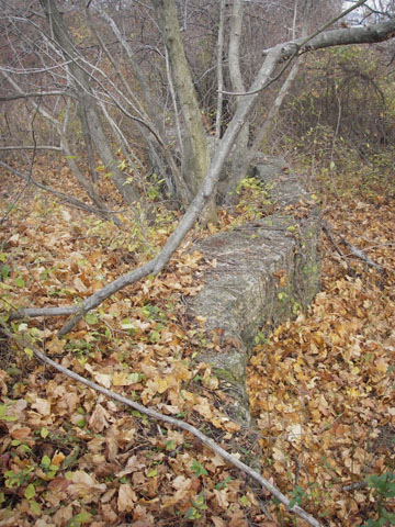 <p>Concrete retaining wall for the earth parapet (now removed), Battery Practice, looking south, November 2007--the last remnant of the battery.</p>