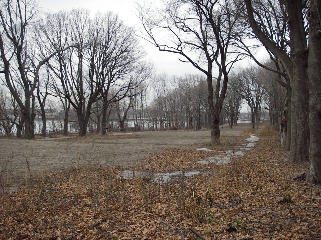 <p>Northern end of Officers&#39; Row after demolition of its buildings. View from in front of former location of Building 9, looking north, December 2008.</p>