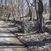 <p>Modified terrain in the Officers&#39; Row area of Fort Slocum--a graded hill slope interrupted by a retaining wall to the east of Howard Road, near the former sites of Buildings 7 and 8, April 2008.</p>